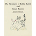 The Adventures of Robbie Rabbit and Rando Racoon