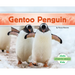 Gentoo Penguin