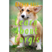 Learn About Corgis