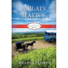 A Plain Malice