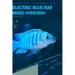 Electric Blue Hap: From Novice to Expert. Comprehensive Aquarium Fish Guide
