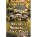 Meticulous Moments and Placid Places