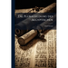 Die Pluralbildung des Aegyptischen