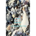 Seashells: SeaShells Blank Day Planner
