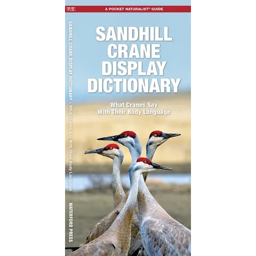 Sandhill Crane Display Dictionary, 2nd Ed