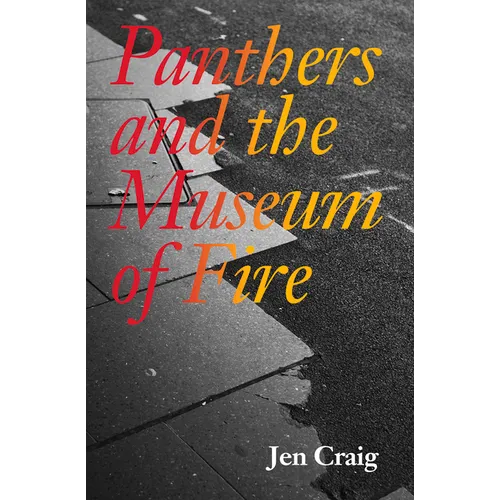 Panthers and the Museum of Fire