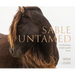 Sable Untamed: The Wild Beauty of Sable Island's Horses
