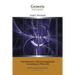 Introduction to Electromagnetism According to Maxwell: (Electromagnetic mechanics)