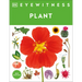 Eyewitness Plant