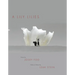 A Lily Lilies