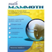 Math Mammoth Grade 5 Tests and Cumulative Revisions, International Version