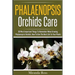 Phalaenopsis Orchids Care: 30 Most Important Things To Remember When Growing Phalaenopsis Orchids