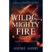 Wild and Mighty Fire: Encounter the Power of the Holy Spirit