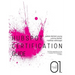 HubSpot Certification Guide: The entire preparation for the HubSpot Tool Certification in 8 days