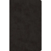 ESV Large Print Value Thinline Bible (Trutone, Black)