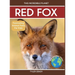 Red Fox: Fascinating Animal Facts for Kids