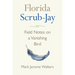 Florida Scrub-Jay: Field Notes on a Vanishing Bird