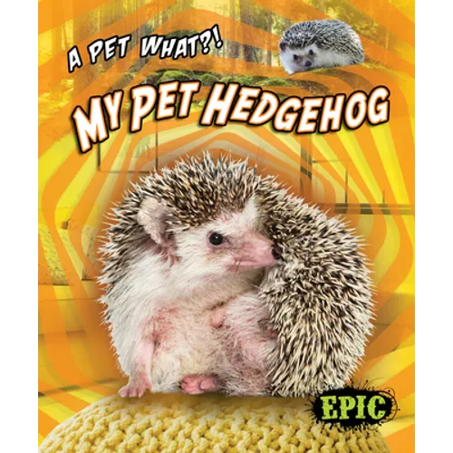My Pet Hedgehog