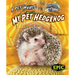 My Pet Hedgehog