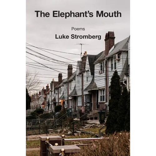 The Elephant's Mouth