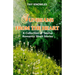 Sunbeams from the Heart: A Collection of Twelve Romantic Short Stories