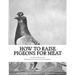 How To Raise Pigeons For Meat: Raising Pigeons for Squabs Book 10