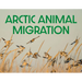 Arctic Animal Migration: English Edition