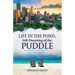 Life in the Pond, Still Dreaming of the Puddle: More Reflections of My Life's Journey in the Bahamas and America