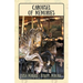 Carousel of Memories