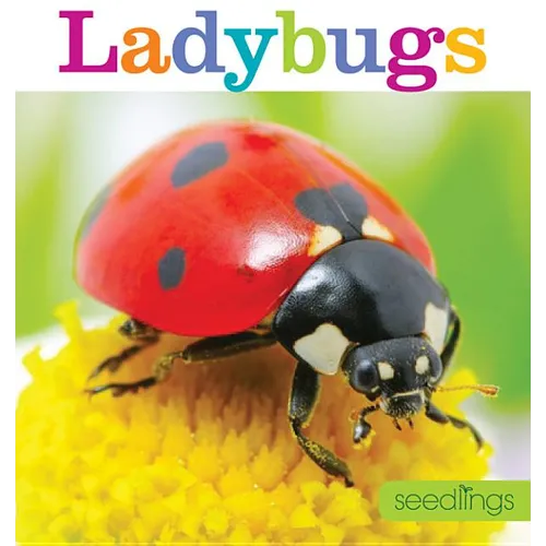 Seedlings: Ladybugs