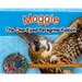 Maggie the One-Eyed Peregrine Falcon: A True Story of Rescue and Rehabilitation