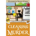 Cleaning is Murder