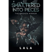 Shattered Into Pieces: The Broken Mirror