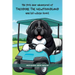 The First Year Adventures Of Theodore The Newfoundland And His White Socks