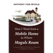How I Went from a Mobile Home to Where Moguls Roam: A Transformative Guide to Creating a Legendary Lifestyle