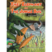 The Elephant and the Jungle Bug