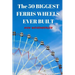 The 50 Biggest Ferris Wheels Ever Built: Guide to the World's Largest Observation Wheels