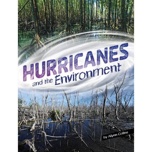 Hurricanes and the Environment