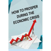 How to Posper During the Economic Crisis: Turning Challenges into Opportunities: Your Guide to Thriving in Tough Times