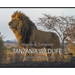 Tanzania Wildlife: A Safari in Pictures