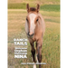 Ranch Tails: Welcome Orphan Mustang Nina