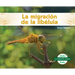 La Migración de la Libélula (Dragonfly Migration)
