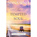 The Tempted Soul: Amish Romance