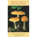 Mushrooms of Cape Cod and the National Seashore