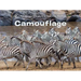 Camouflage
