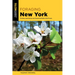 Foraging New York