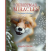 Christmas Miracles: Fox's Journey To Kindness