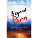 Beyond Porn: A Christian's Guide to Avoiding Pornography