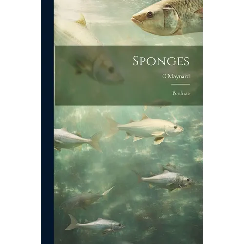 Sponges; Poriferae