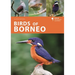 Birds of Borneo